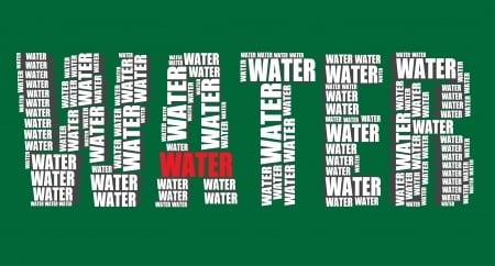 Infographic | How your body uses water