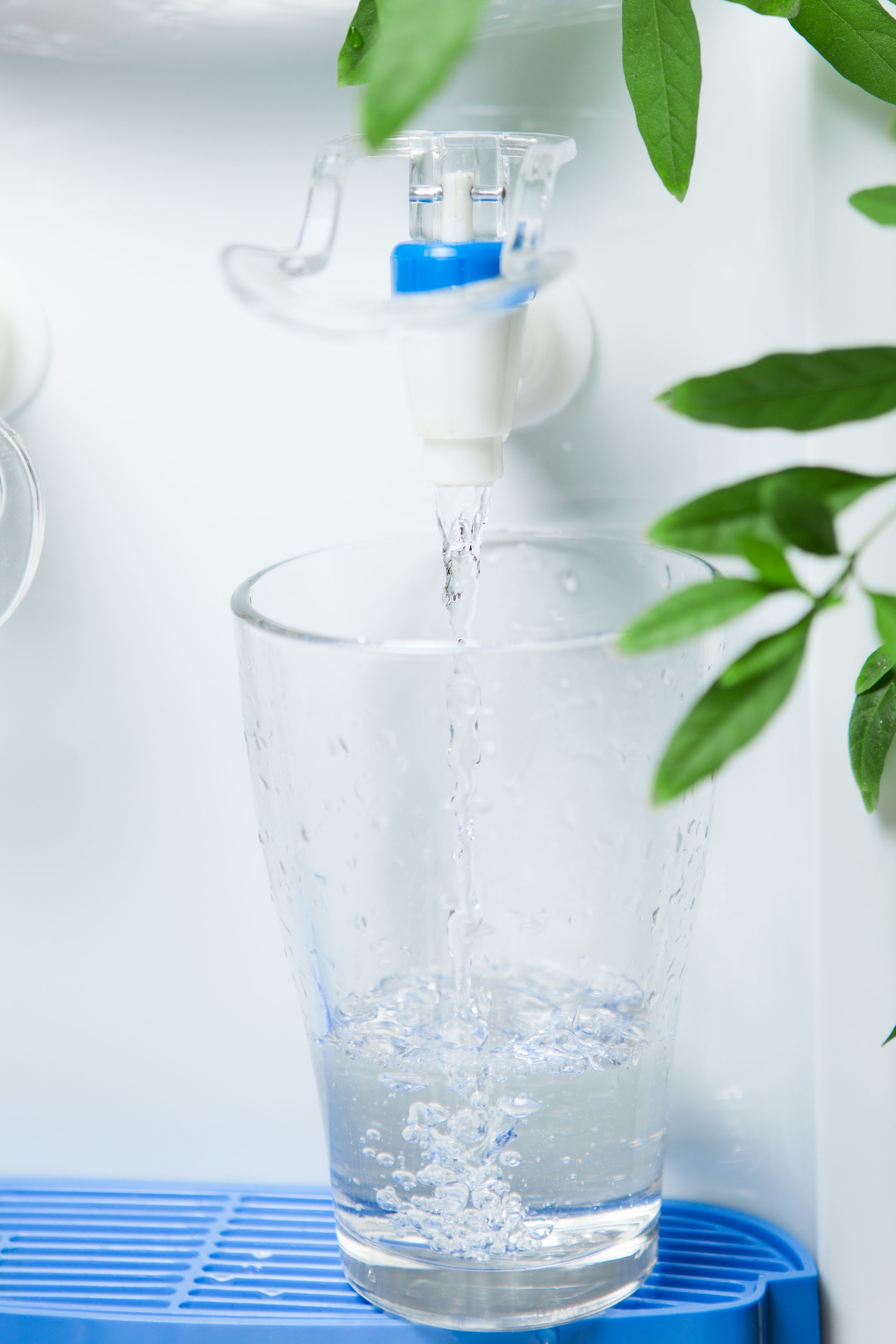 Bet You Didnt Know These Facts About Water Coolers!