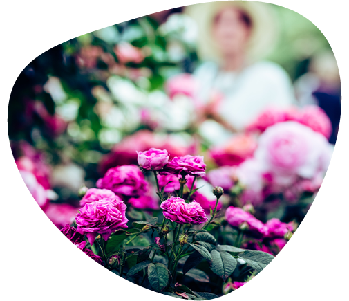 The Royal Horticultural Society Objective